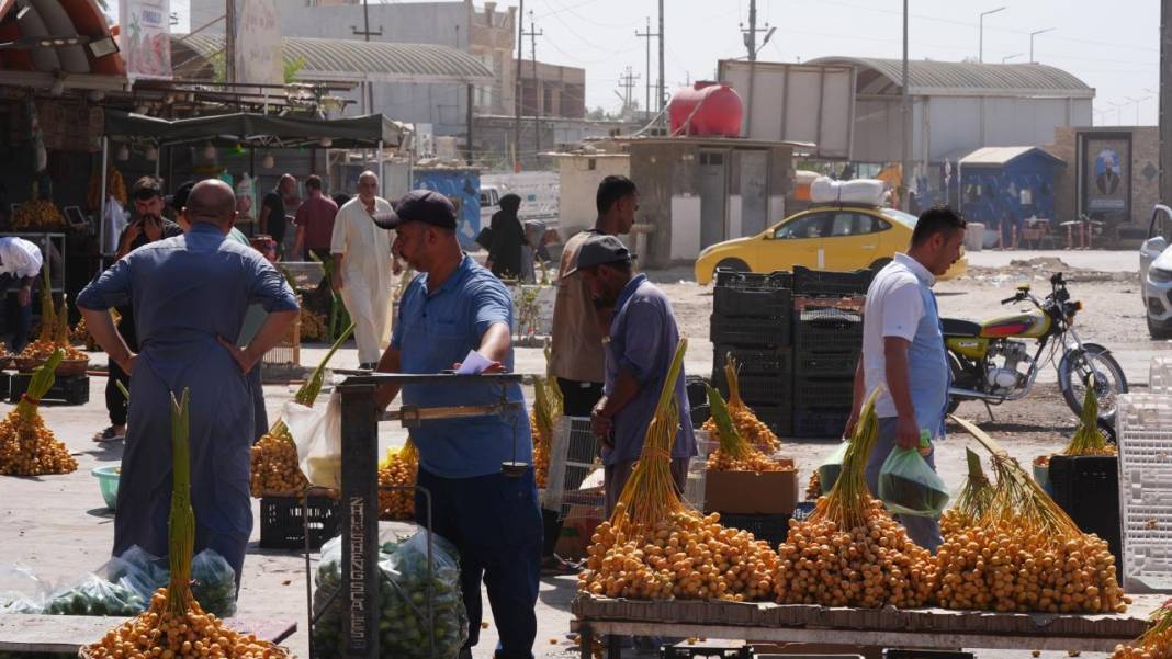 Irak'ta hurma hasadı başladı 9