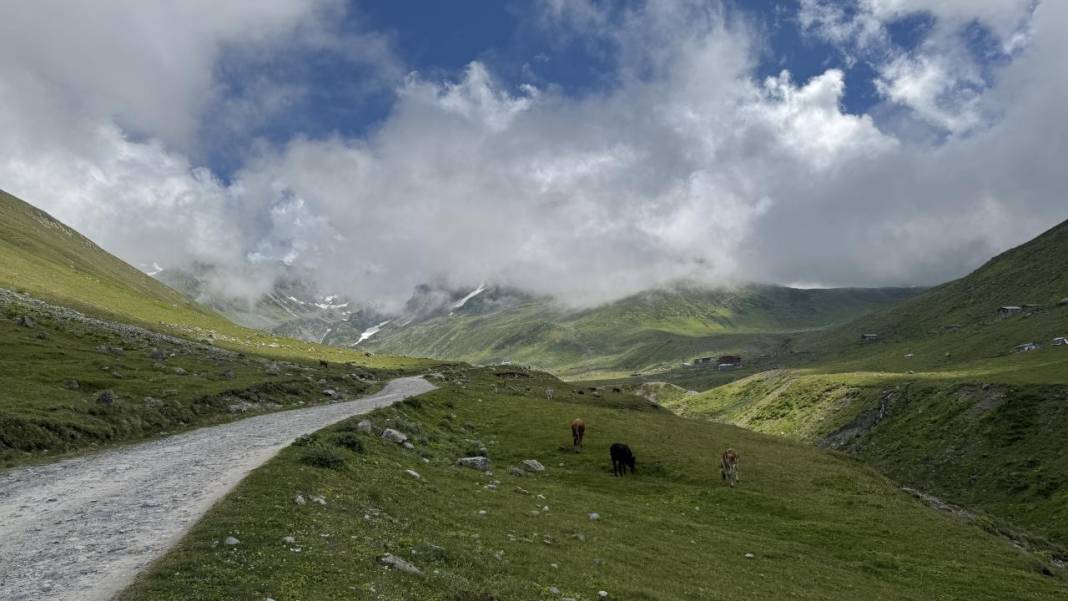 Kaçkarların zirvesinde yaratılış harikası: Avusor Yaylası ve Gölü 10