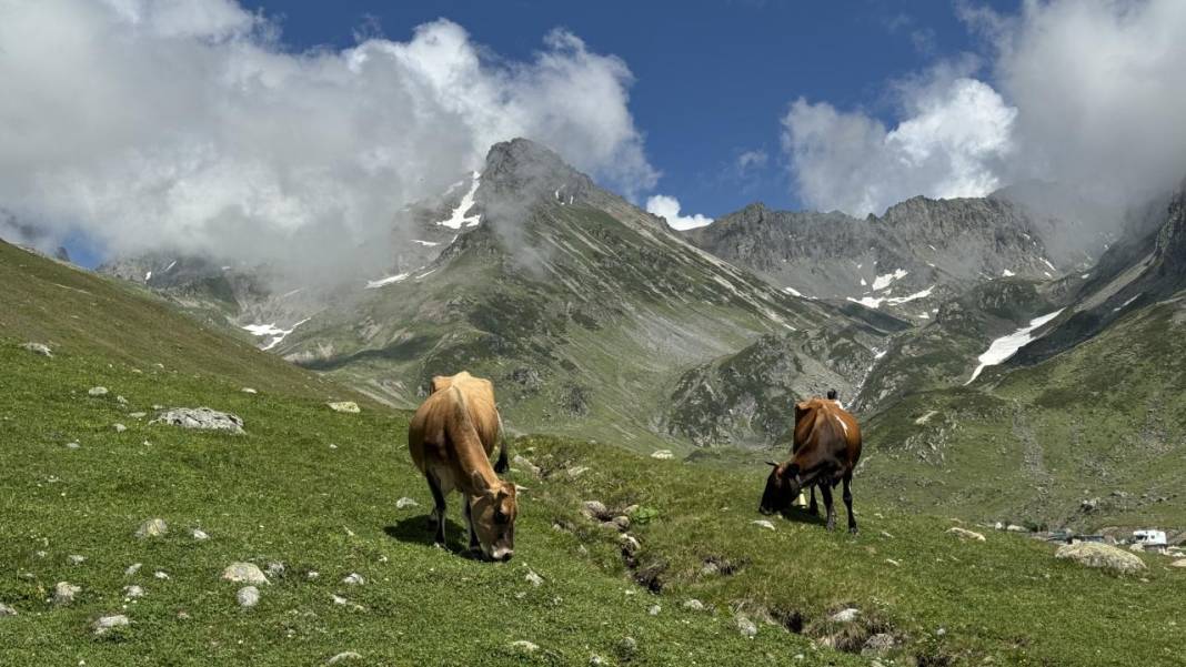 Kaçkarların zirvesinde yaratılış harikası: Avusor Yaylası ve Gölü 12