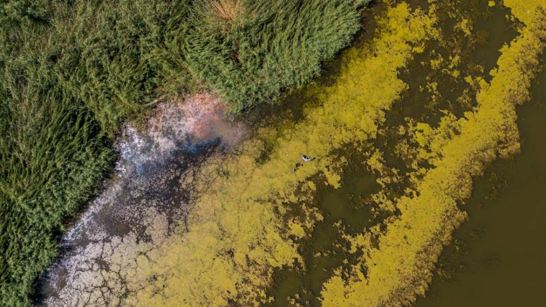 Ödemiş'in Gölcük Gölü tefekkür mekanı 2