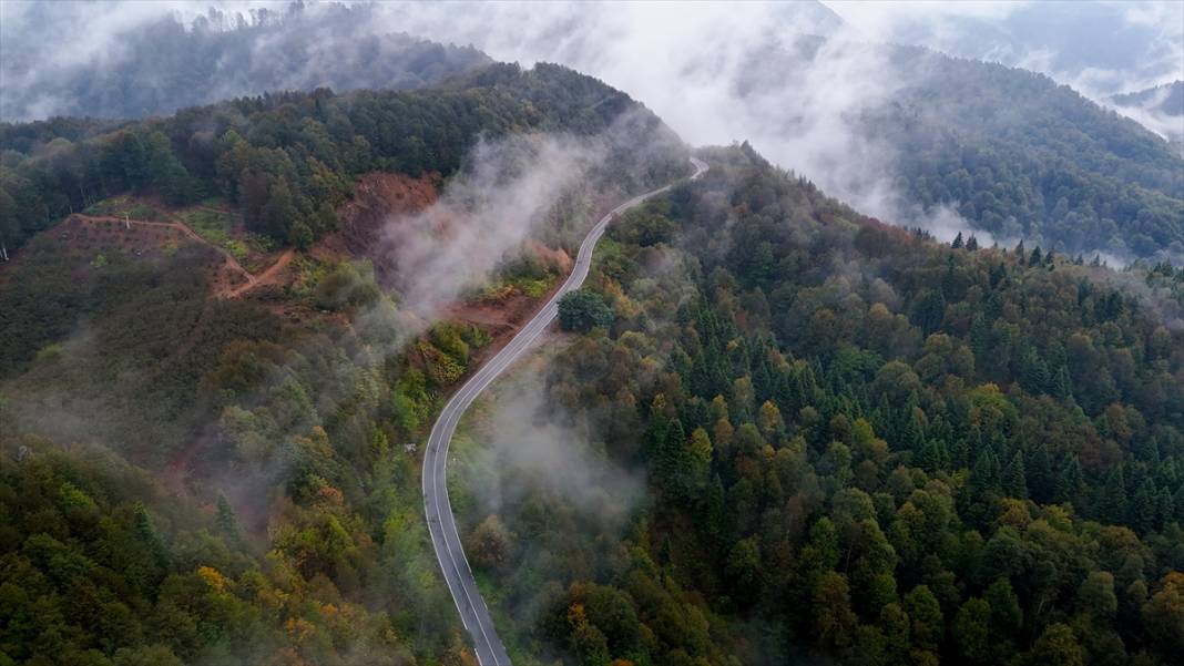 Çam Dağı'nda sonbaharın renkleri sisle buluştu 2