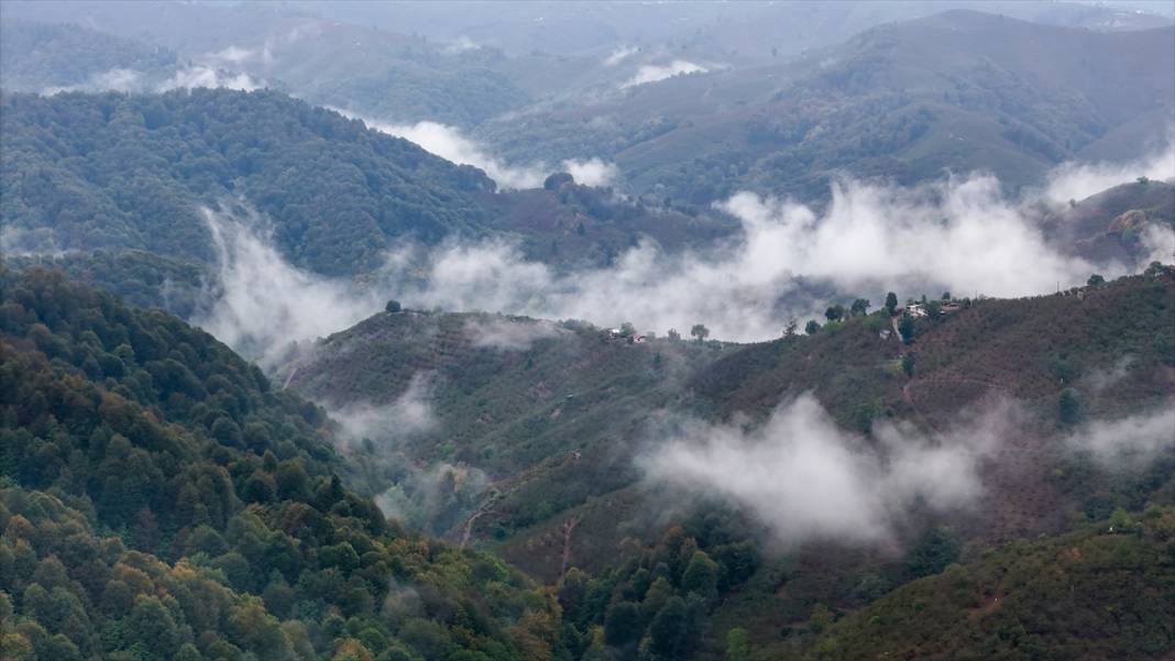 Çam Dağı'nda sonbaharın renkleri sisle buluştu 3