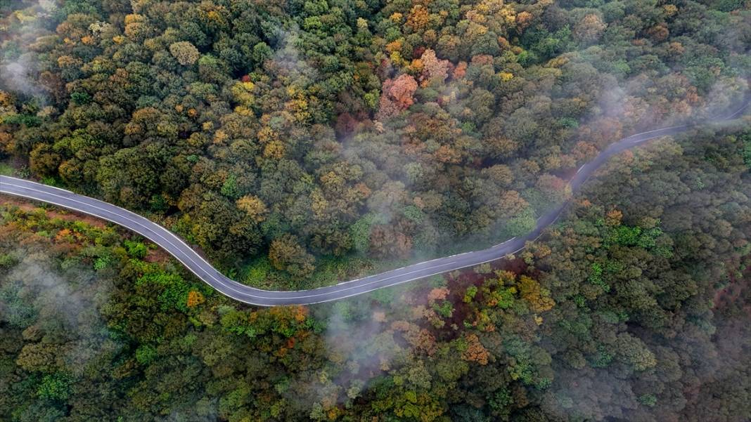 Çam Dağı'nda sonbaharın renkleri sisle buluştu 5