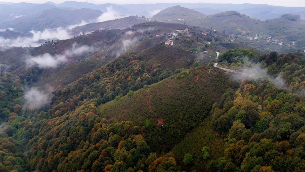 Çam Dağı'nda sonbaharın renkleri sisle buluştu 6