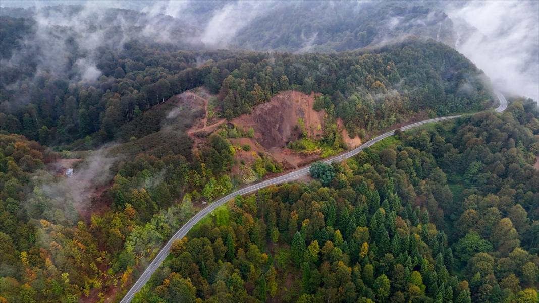Çam Dağı'nda sonbaharın renkleri sisle buluştu 7