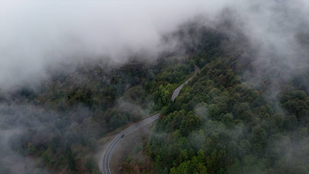 Çam Dağı'nda sonbaharın renkleri sisle buluştu 8