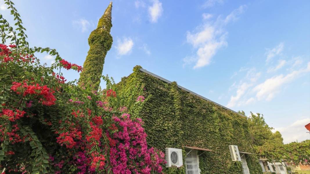 Sarmaşıkların içinde kaybolan cami 1