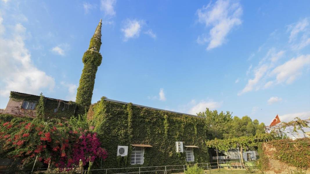 Sarmaşıkların içinde kaybolan cami 10