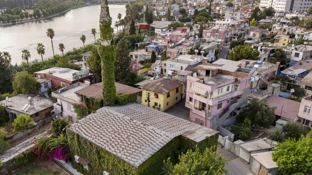 Sarmaşıkların içinde kaybolan cami 2