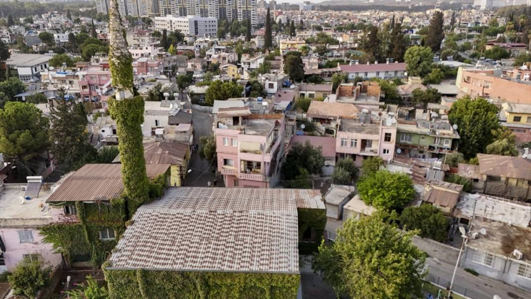 Sarmaşıkların içinde kaybolan cami 3