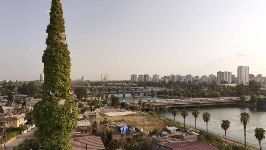 Sarmaşıkların içinde kaybolan cami 5