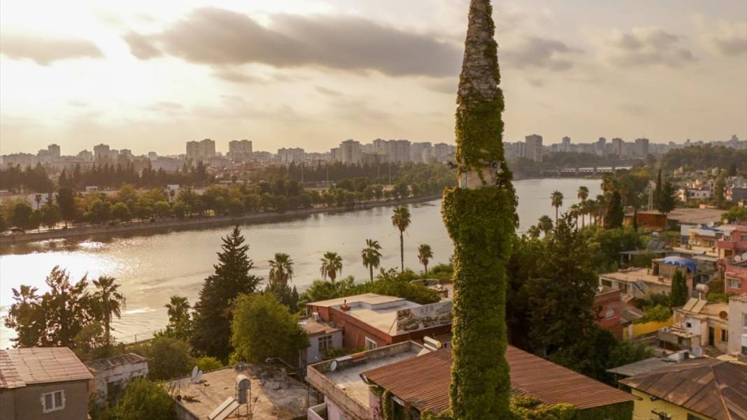 Sarmaşıkların içinde kaybolan cami 7