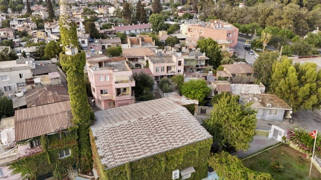 Sarmaşıkların içinde kaybolan cami 9