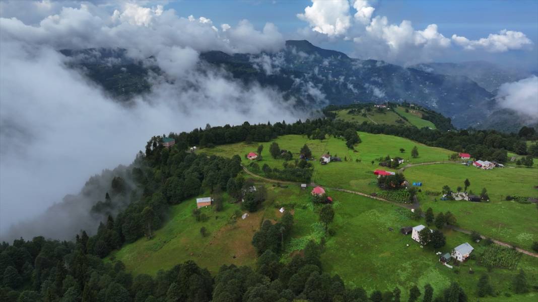 Trabzon yaylalarından güzel görüntüler 1