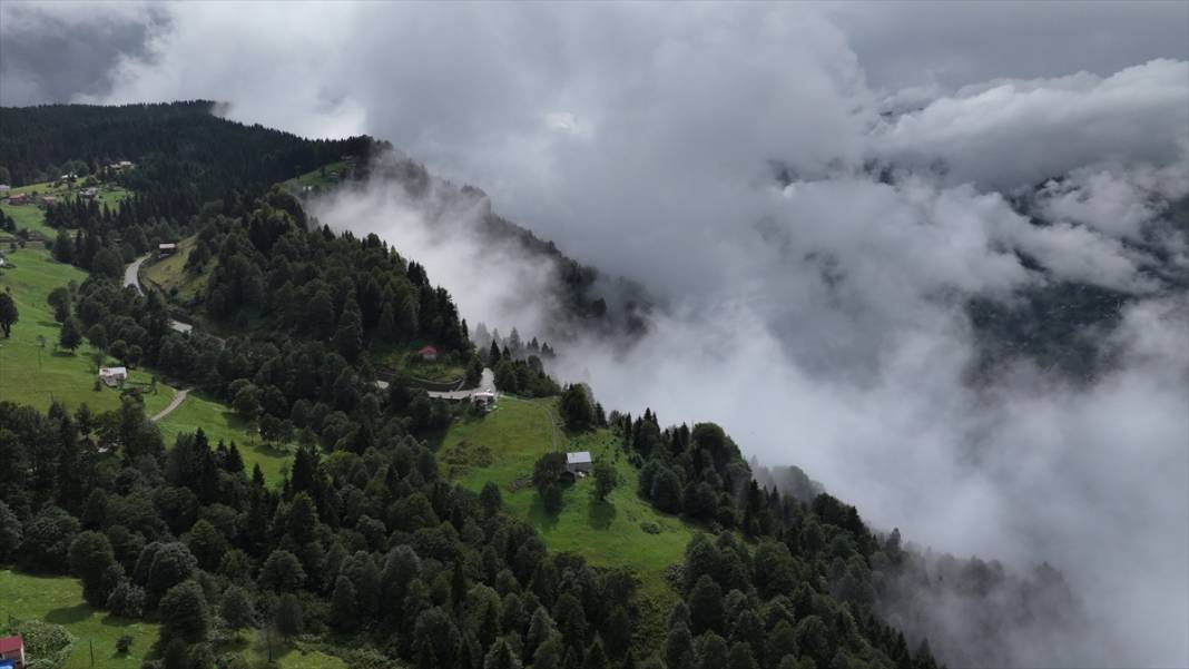 Trabzon yaylalarından güzel görüntüler 11
