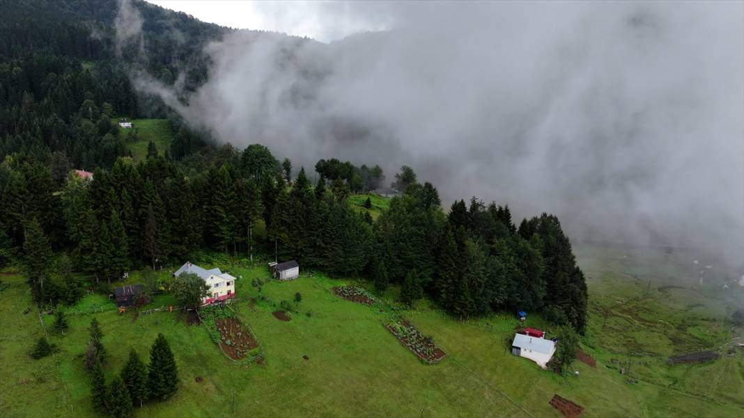 Trabzon yaylalarından güzel görüntüler 2