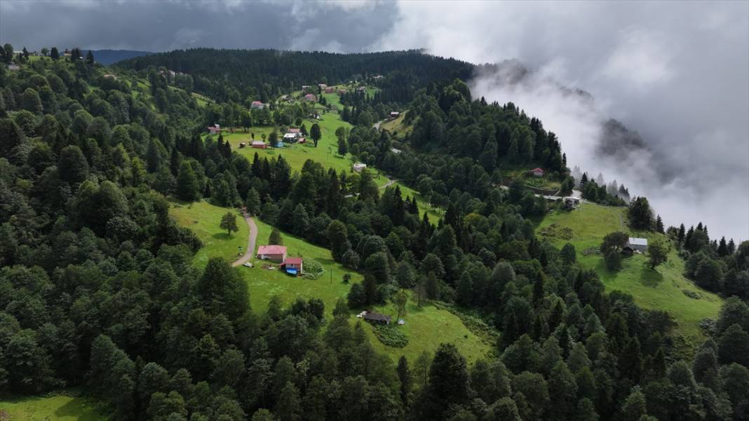Trabzon yaylalarından güzel görüntüler 3