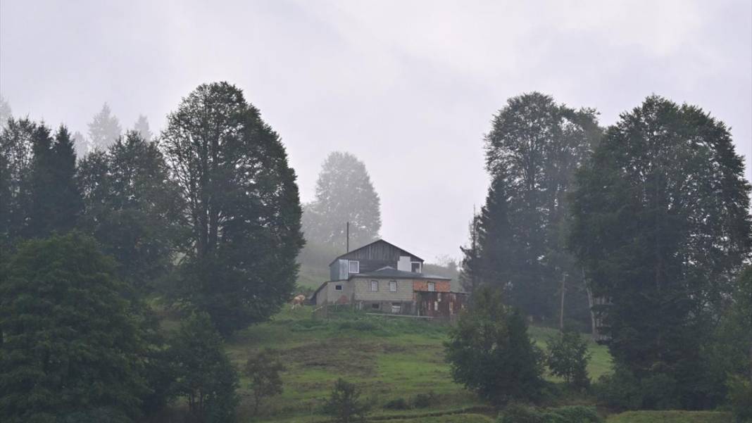 Trabzon yaylalarından güzel görüntüler 5