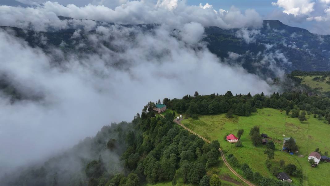 Trabzon yaylalarından güzel görüntüler 6