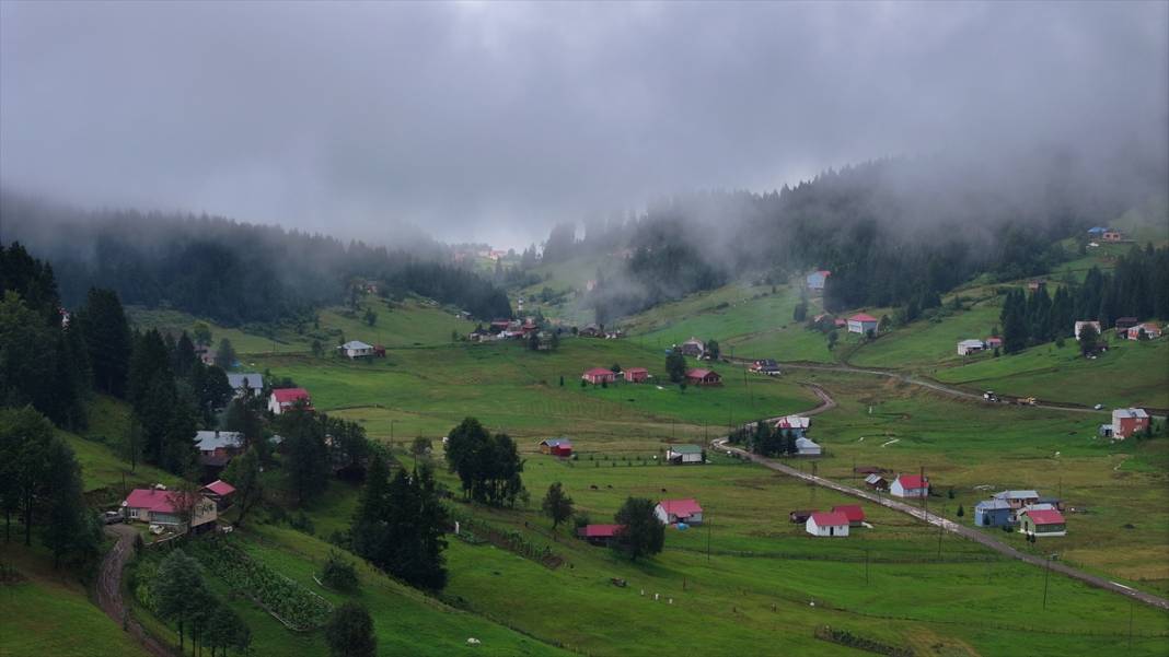 Trabzon yaylalarından güzel görüntüler 7