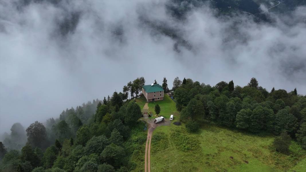 Trabzon yaylalarından güzel görüntüler 9