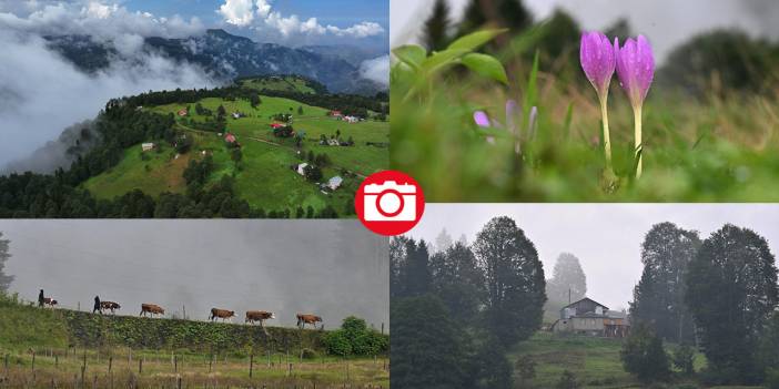 Trabzon yaylalarından güzel görüntüler