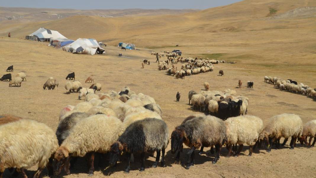 Havanın soğumasıyla yaylacıların dönüş yolculuğu başladı 10