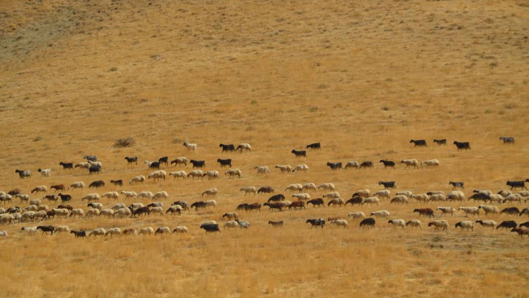 Havanın soğumasıyla yaylacıların dönüş yolculuğu başladı 2