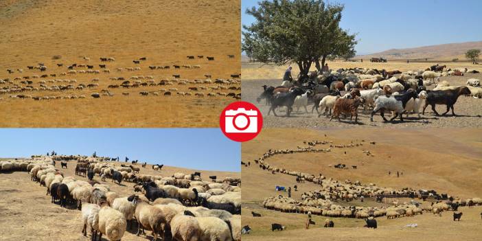 Havanın soğumasıyla yaylacıların dönüş yolculuğu başladı
