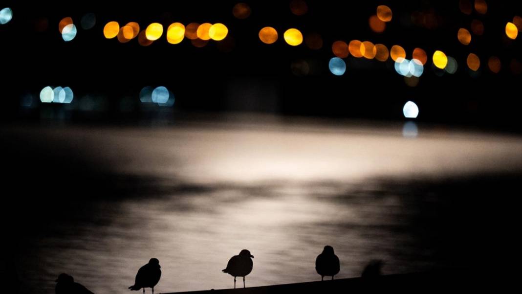 Türkiye'nin kuzeydeki en sivri ucu Sinop 5