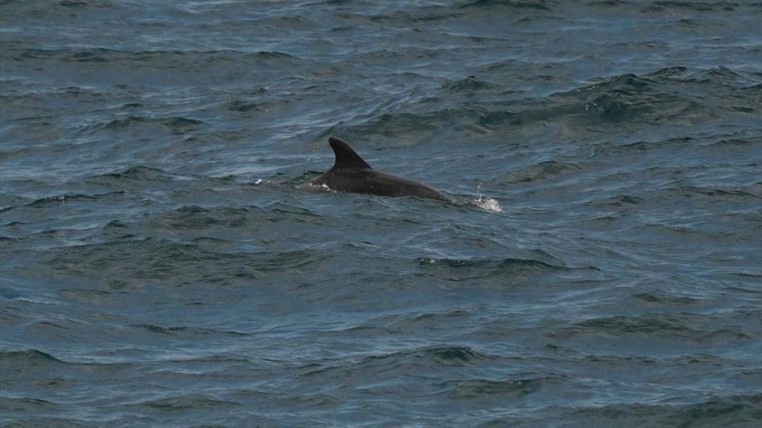 Türkiye'nin kuzeydeki en sivri ucu Sinop 6