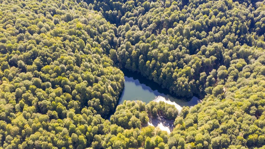 Yedigöller, ziyaretçileri sonbaharda tefekkür yolculuğuna çıkarıyor 10