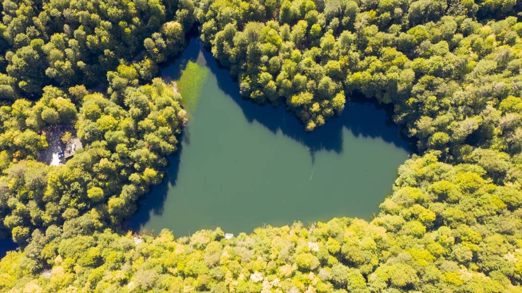 Yedigöller, ziyaretçileri sonbaharda tefekkür yolculuğuna çıkarıyor 11