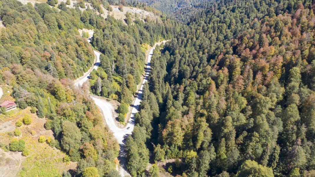 Yedigöller, ziyaretçileri sonbaharda tefekkür yolculuğuna çıkarıyor 12