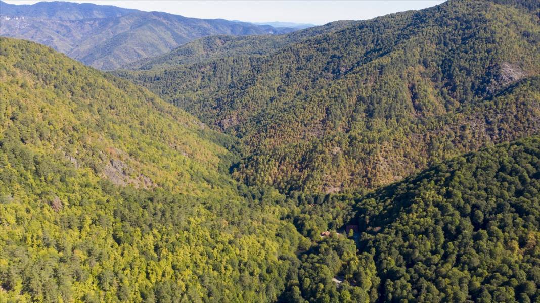 Yedigöller, ziyaretçileri sonbaharda tefekkür yolculuğuna çıkarıyor 13