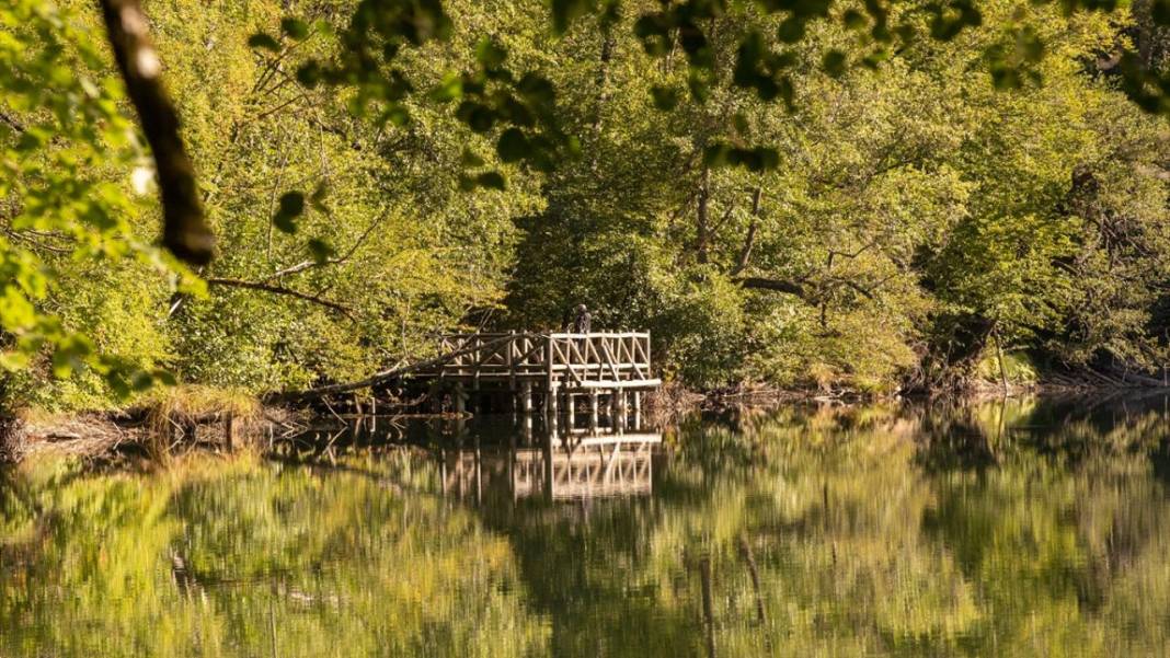 Yedigöller, ziyaretçileri sonbaharda tefekkür yolculuğuna çıkarıyor 3