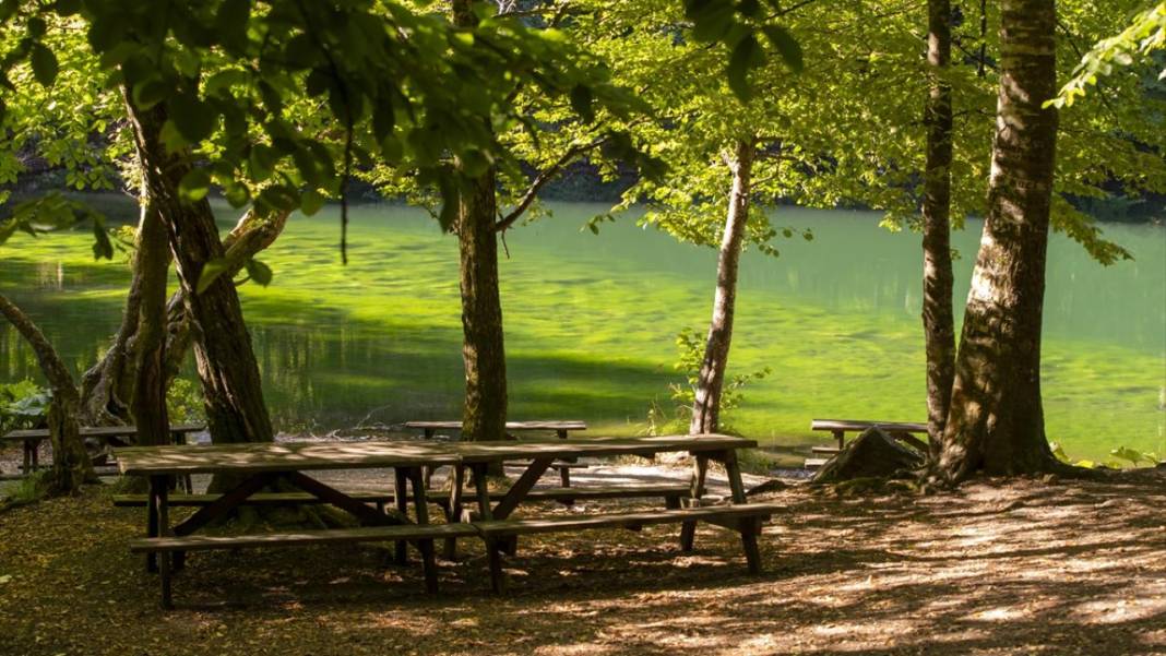 Yedigöller, ziyaretçileri sonbaharda tefekkür yolculuğuna çıkarıyor 4