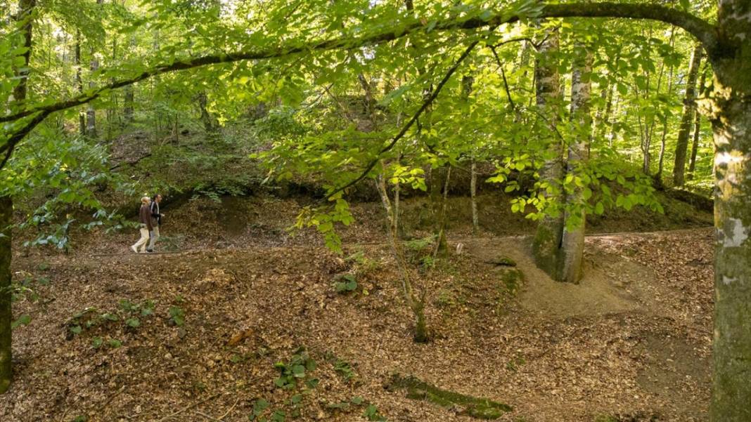 Yedigöller, ziyaretçileri sonbaharda tefekkür yolculuğuna çıkarıyor 5