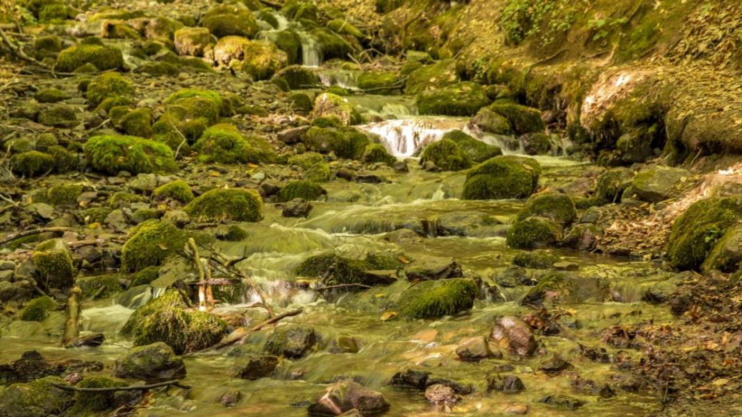 Yedigöller, ziyaretçileri sonbaharda tefekkür yolculuğuna çıkarıyor 7
