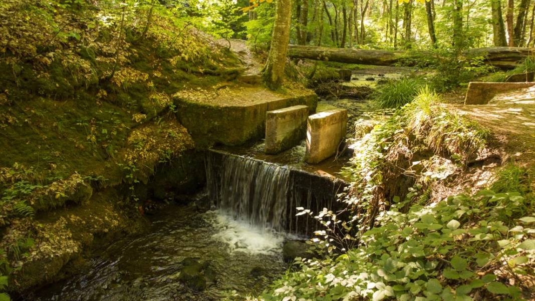 Yedigöller, ziyaretçileri sonbaharda tefekkür yolculuğuna çıkarıyor 8