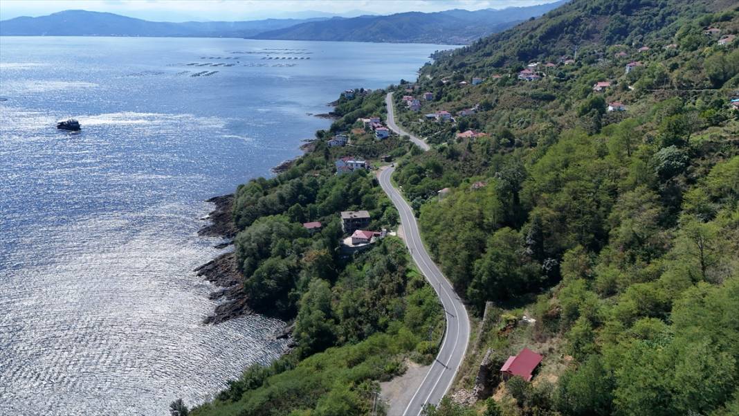 Sakin şehir Perşembe'nin deniz feneri 11