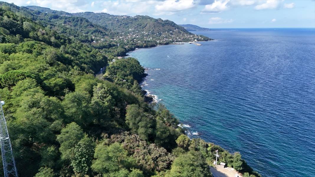 Sakin şehir Perşembe'nin deniz feneri 12