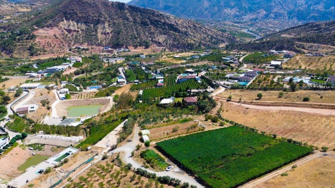 Kuraklığa rağmen her yıl 30 ton üzüm üretiyor 12