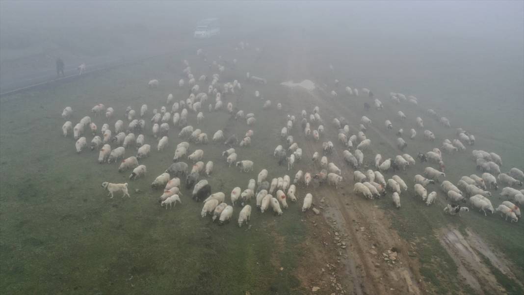 Sisler altındaki Karadeniz yaylalarından dönüş yolculuğu başladı 1