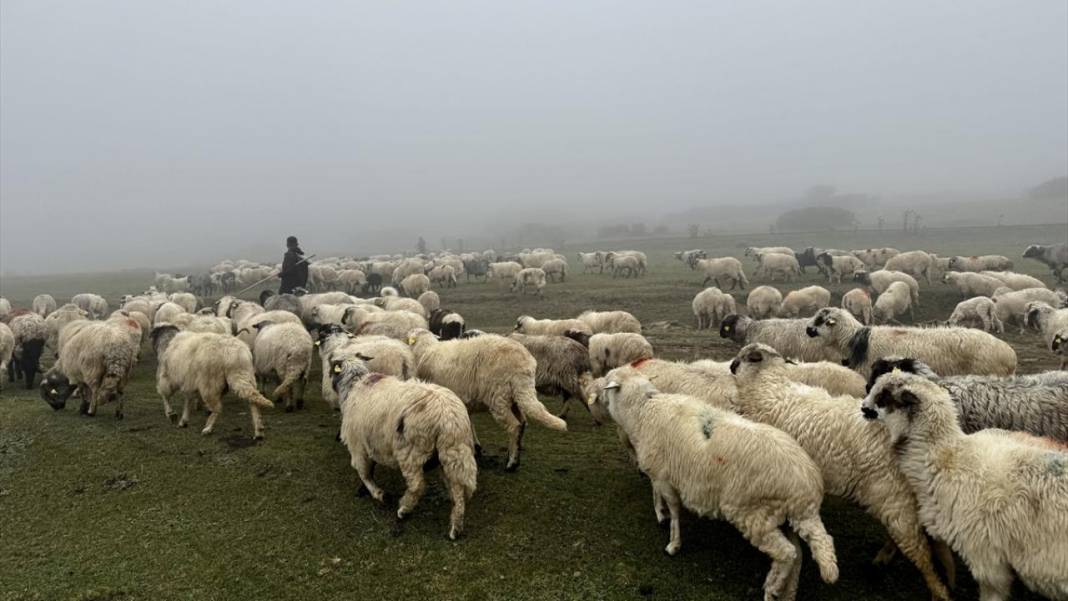 Sisler altındaki Karadeniz yaylalarından dönüş yolculuğu başladı 11