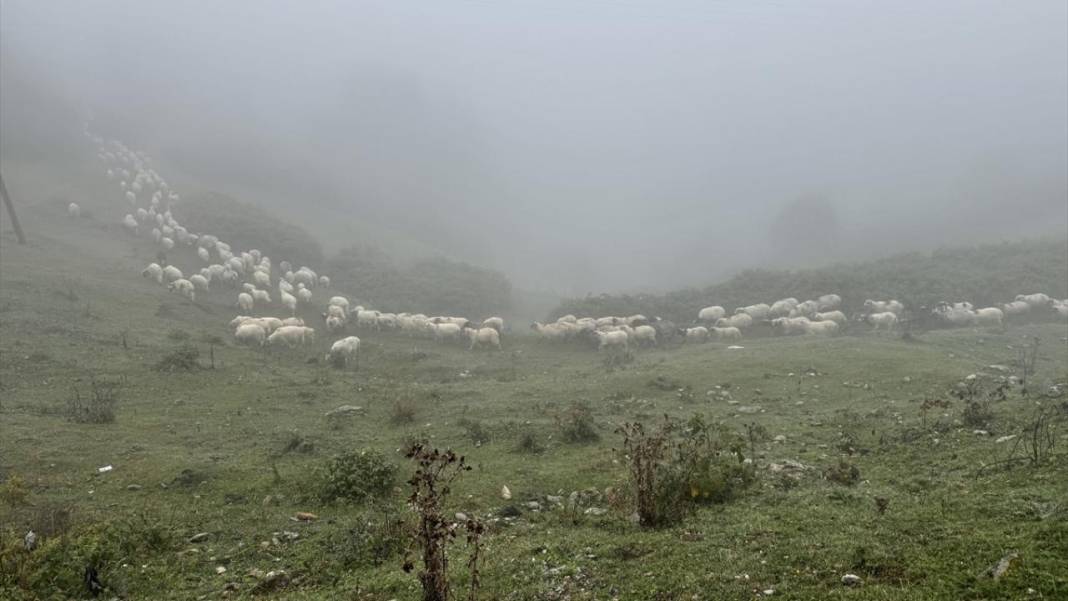 Sisler altındaki Karadeniz yaylalarından dönüş yolculuğu başladı 13