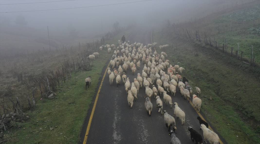 Sisler altındaki Karadeniz yaylalarından dönüş yolculuğu başladı 2
