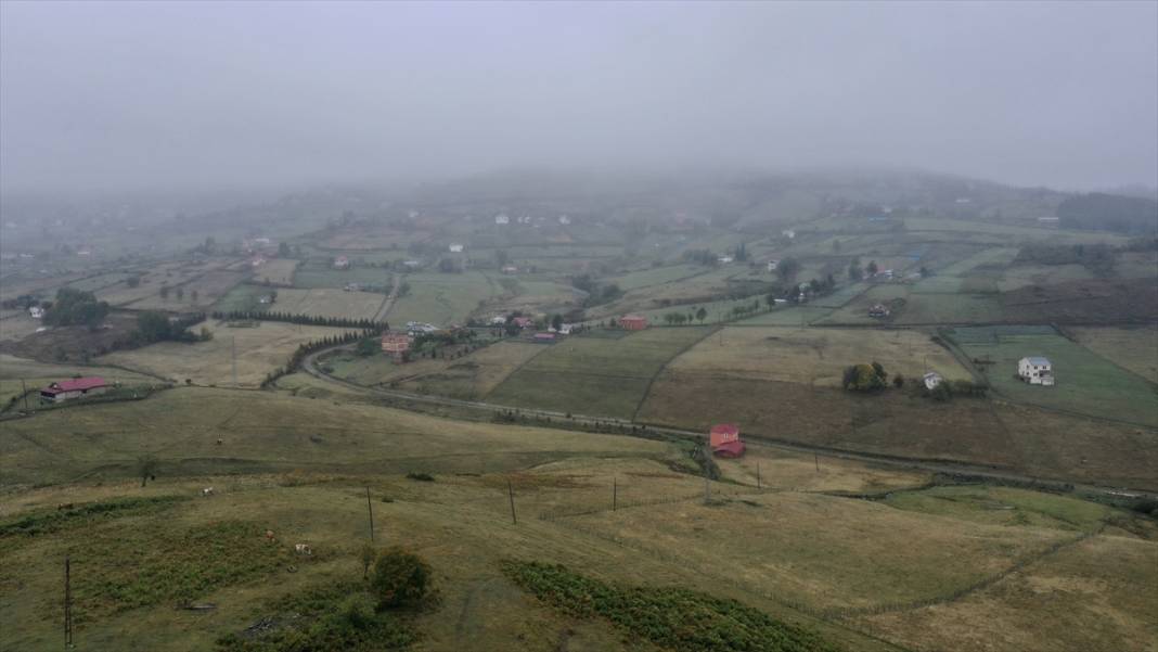 Sisler altındaki Karadeniz yaylalarından dönüş yolculuğu başladı 5