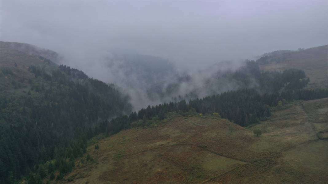 Sisler altındaki Karadeniz yaylalarından dönüş yolculuğu başladı 6