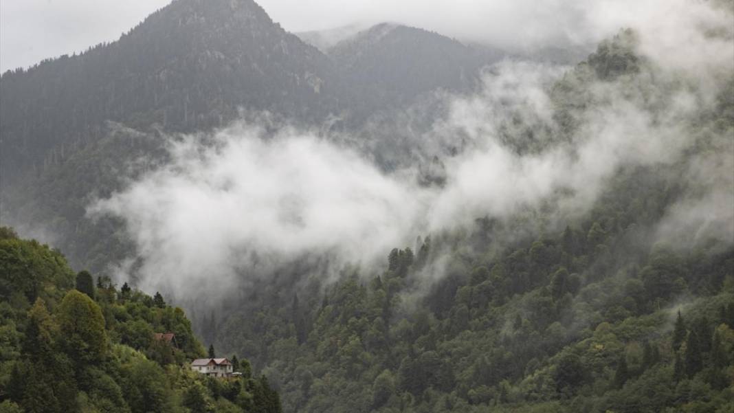 Rize yaylalarından güzel manzaralar 1